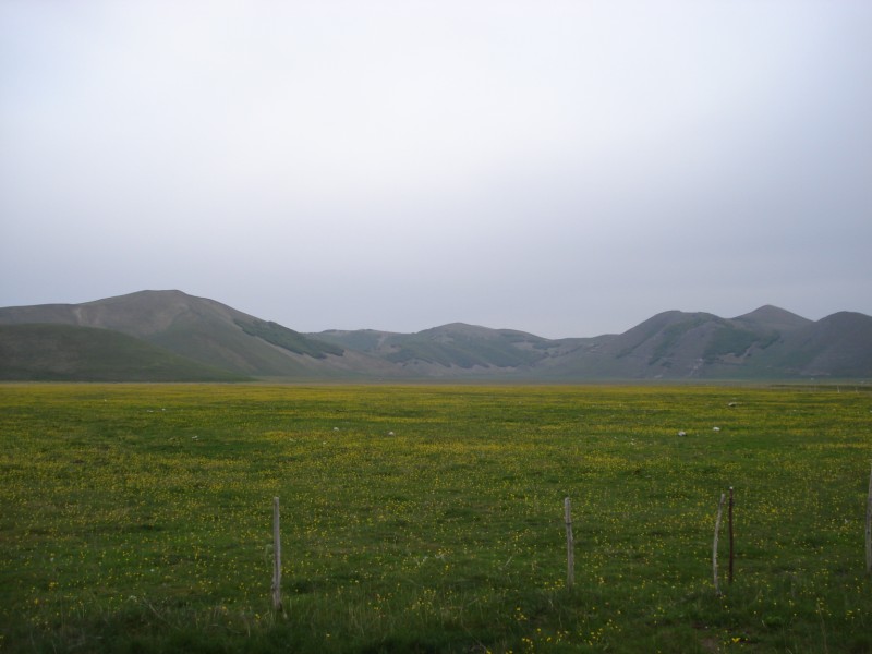 Castelluccio di Norcia  (Pg)